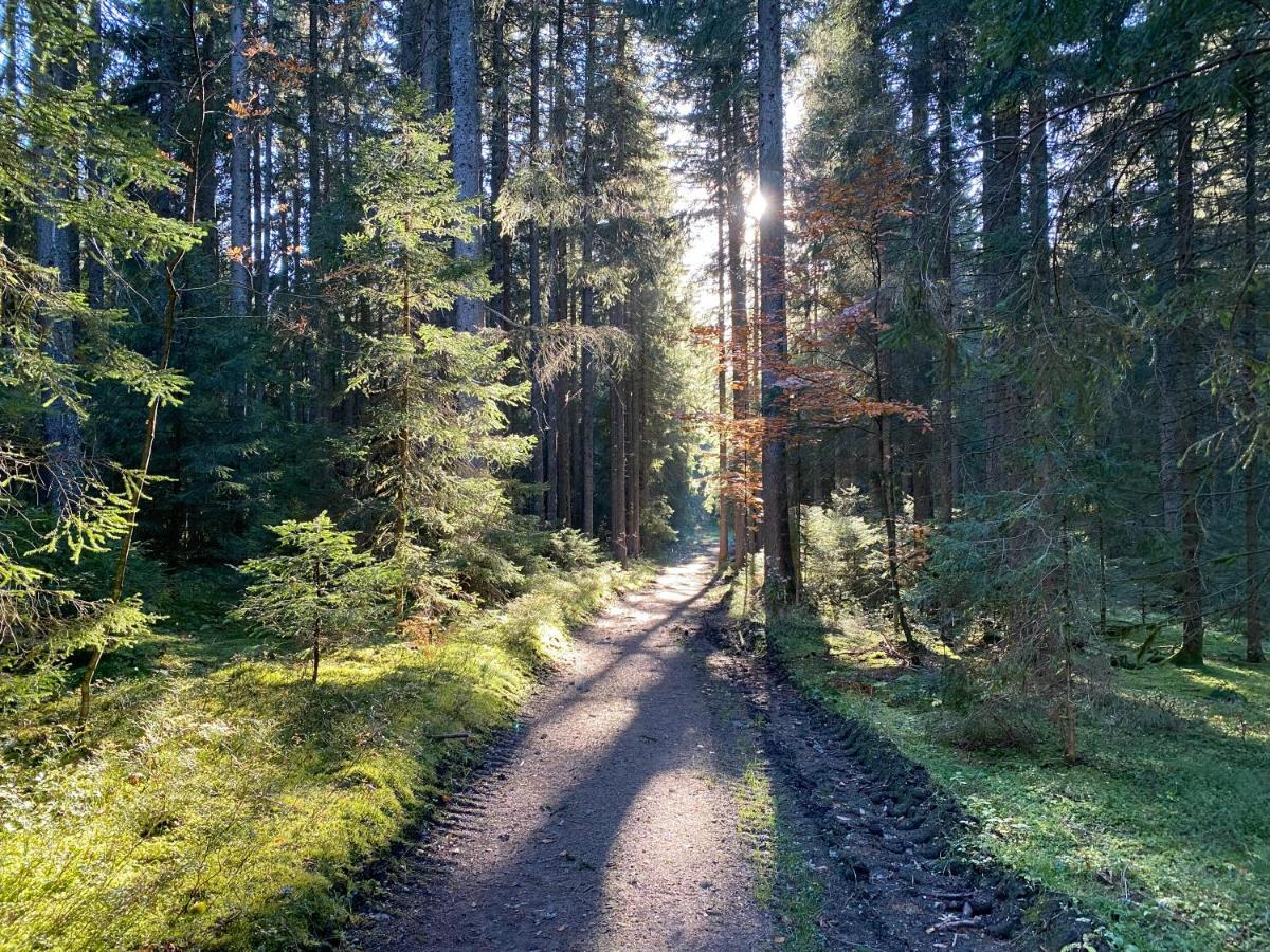 Ferienwohnung Waldblick Wilhelmsdorf 외부 사진